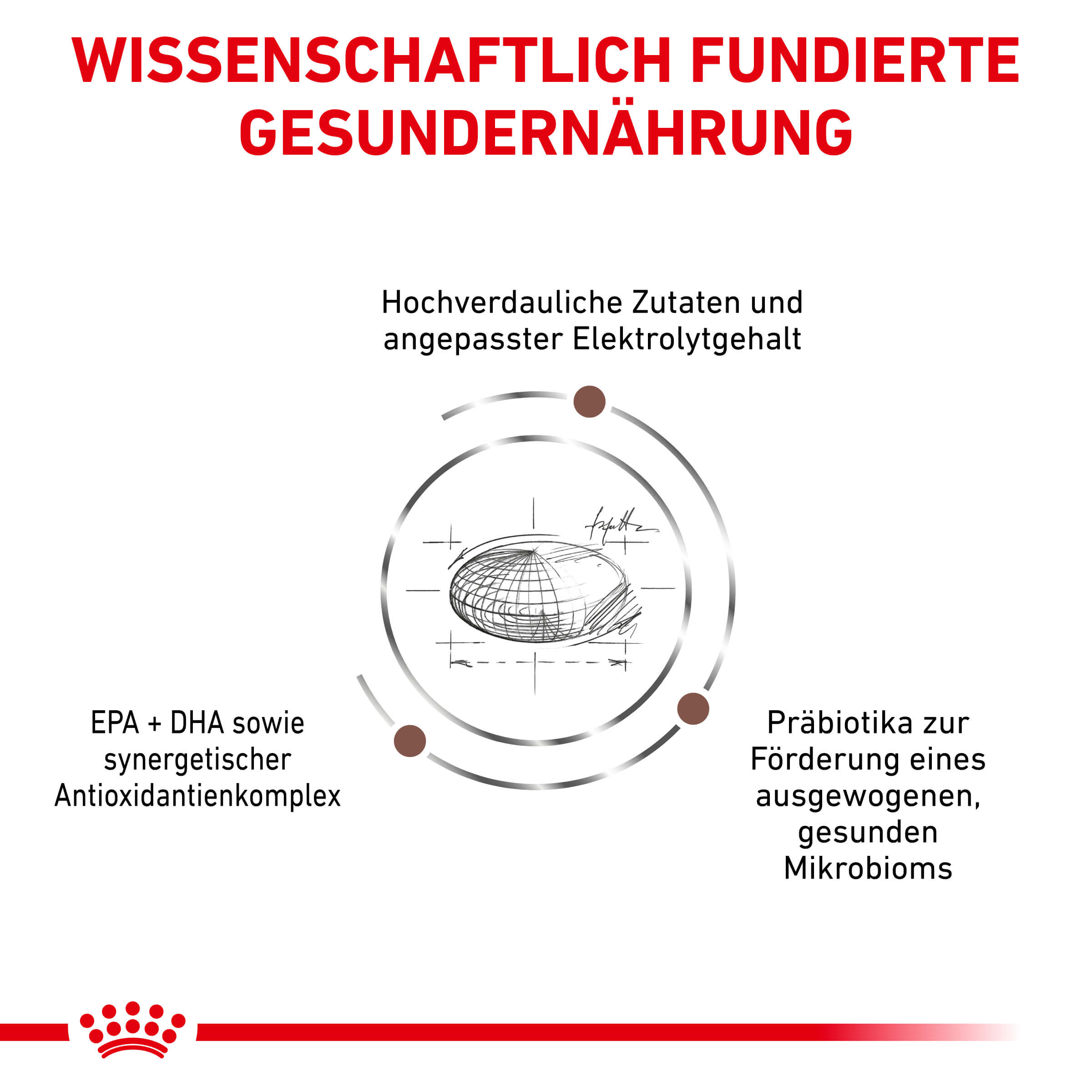 Royal Canin Veterinary GASTROINTESTINAL HIGH FIBRE Trockenfutter für Hunde 14 kg