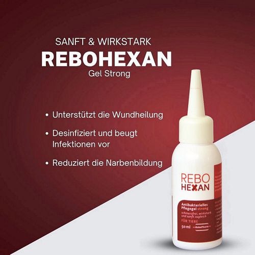 reboVet - ReboHexan - ANTIBAKTERIELLES PFLEGEGEL - STRONG - 50 ml