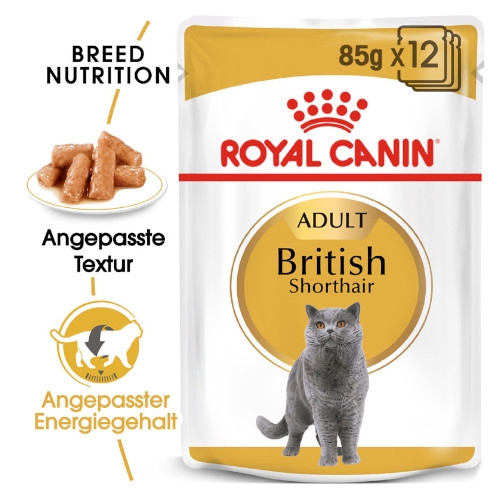 Royal Canin British Shorthair Adult Katzenfutter nass für Britisch Kurzhaar