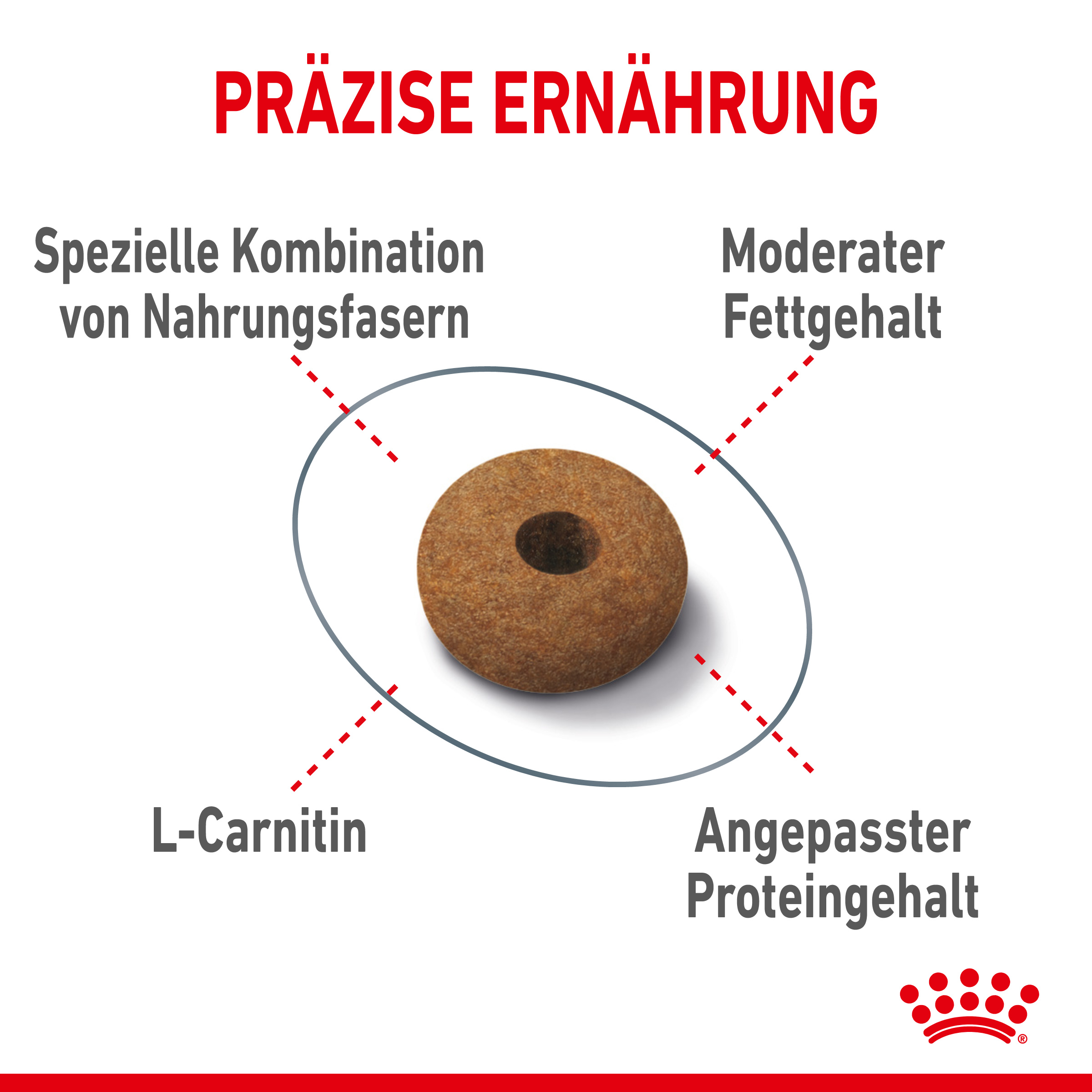 royal canin appetite control