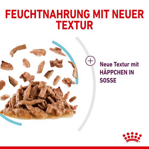 Royal Canin SENSORY Feel Nassfutter in Soße für wählerische Katzen 12 x 85 g