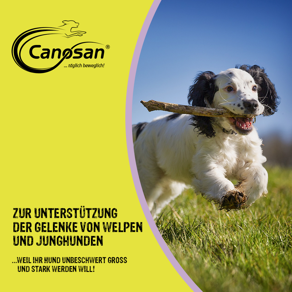 Canosan Unterstützung der Gelenke Mobile Canosan Unterstützung der Gelenke Mobile