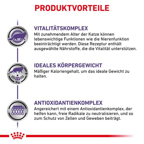 Royal Canin Expert MATURE CONSULT BALANCE Mousse Nassfutter für Katzen Vorteile