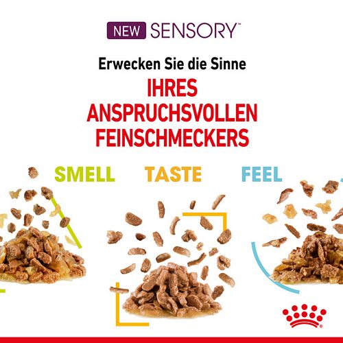 Royal Canin SENSORY Smell Taste Feel Nassfutter Multipack in Soße für wählerische Katzen 12 x 85 g