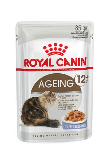 Royal Canin AGEING 12+ in Gelee Nassfutter für ältere Katzen