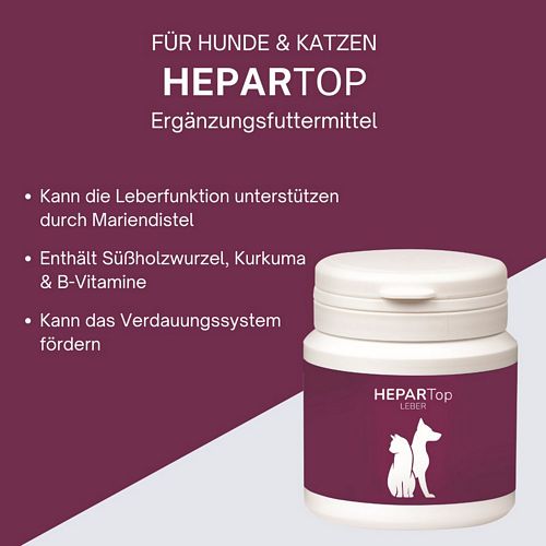 reboVet - ReboTabs - HEPAR-Top - 100 Tabs