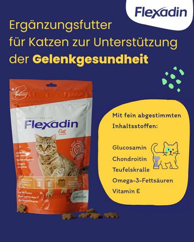  Vetoquinol - Flexadin - Cat - 60 Chews 