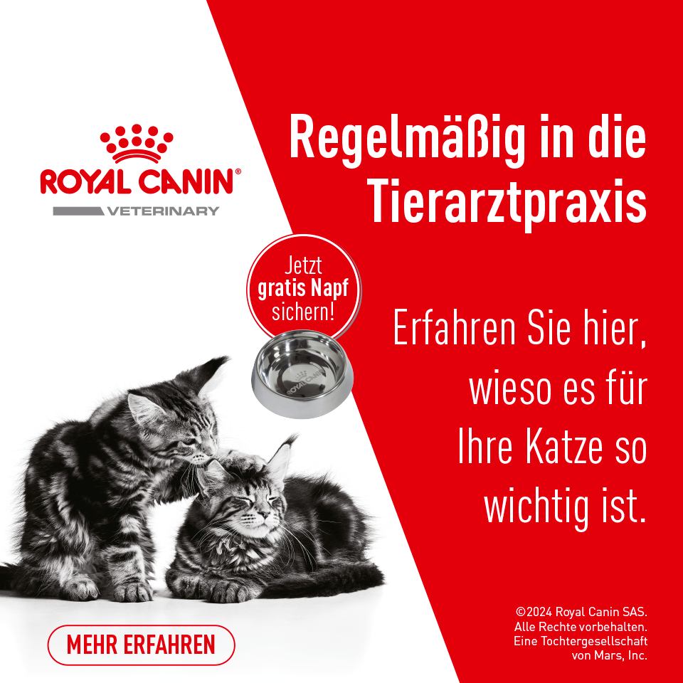 Regelmäßig in die Tierarztpraxis