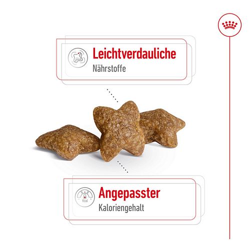 Royal Canin MINI Adult Trockenfutter für kleine Hunde 2kg