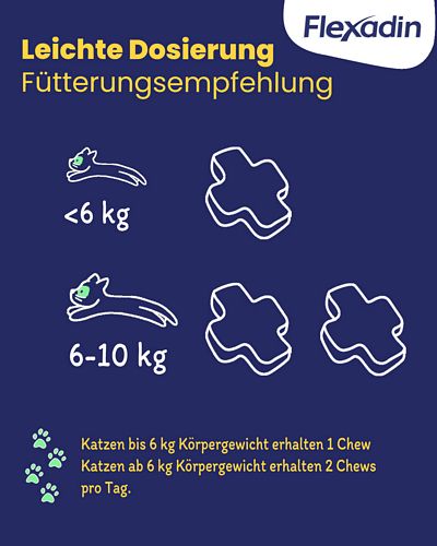  Vetoquinol - Flexadin - Cat - 60 Chews 