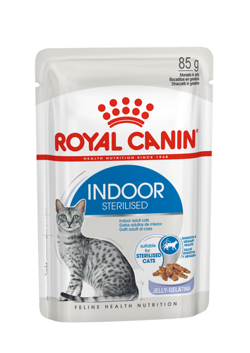 Royal Canin INDOOR Sterilised in Gelee Nassfutter für Wohnungskatzen