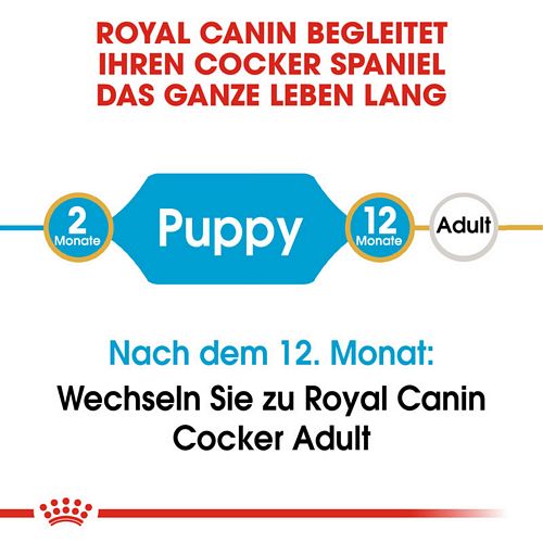 Royal Canin Cocker Puppy Welpenfutter trocken Lebensphasen