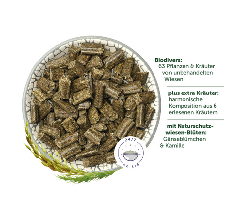 Bunny KaninchenTraum Herbs