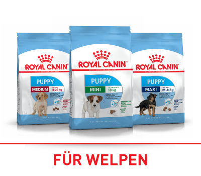 Royal Canin für Welpen Royal Canin für Welpen
