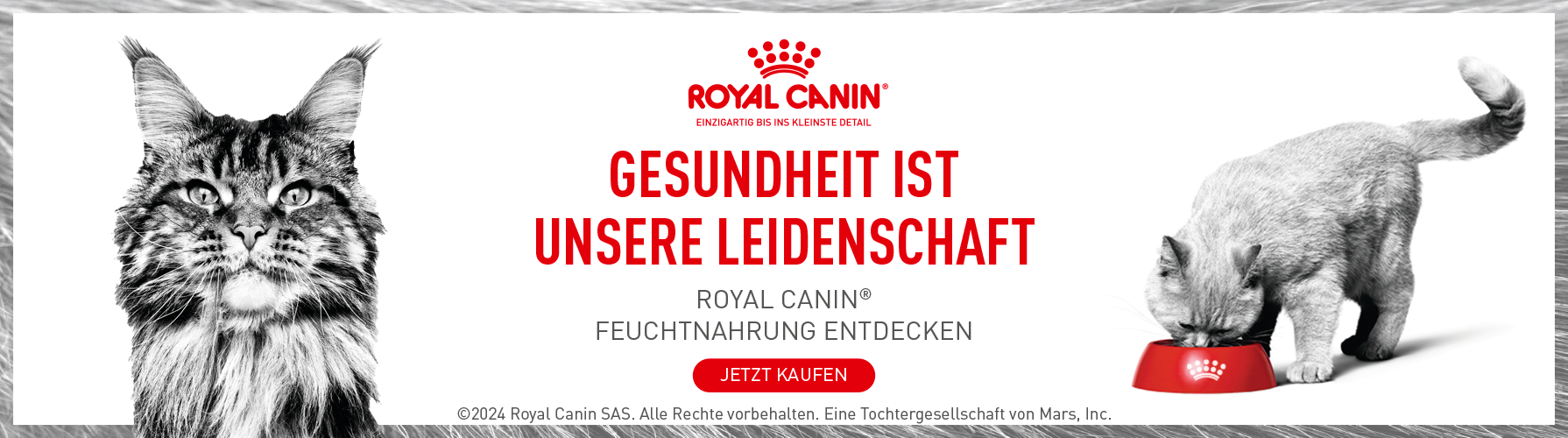 Royal Canin Feuchtnahrung entdecken Royal Canin Feuchtnahrung entdecken