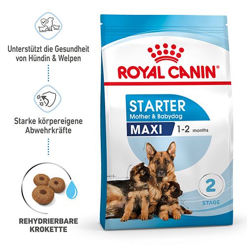 Royal Canin MAXI Starter für tragende Hündin und Welpen großer Rassen 15 kg