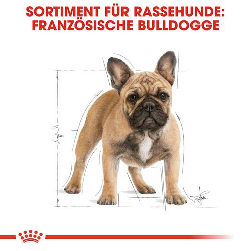 Royal Canin French Bulldog Adult Trockenfutter