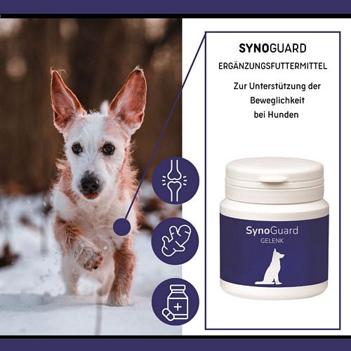 reboVet - ReboTabs - SYNO-Guard - 50 Tabs