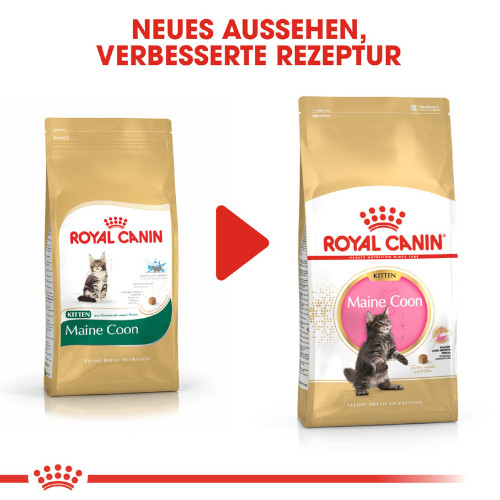 Royal Canin Maine Coon Trockenfutter für Kätzchen