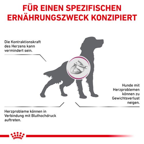 Royal Canin Veterinary CARDIAC Nassfutter für Hunde  12 x 200 g