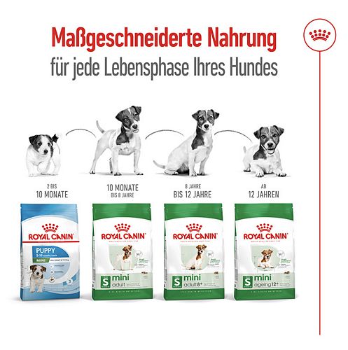 Royal Canin MINI Adult 8+ Trockenfutter für ältere kleine Hunde 2kg