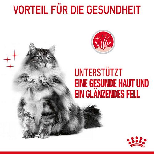 Royal Canin Hair & Skin Care Katzenfutter trocken