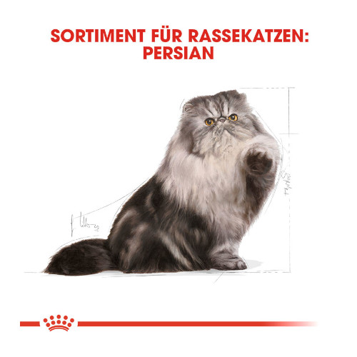 Royal Canin Persian Adult Katzenfutter nass für Perser-Katzen
