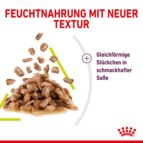 Royal Canin SENSORY Smell Nassfutter in Soße für wählerische Katzen 12 x 85 g