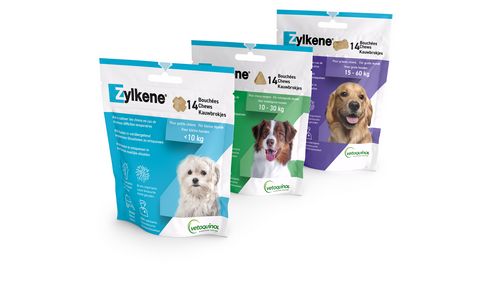 Zylkene Chews 445mg - 14 Chews für große Hunde unter 15 - 60kg