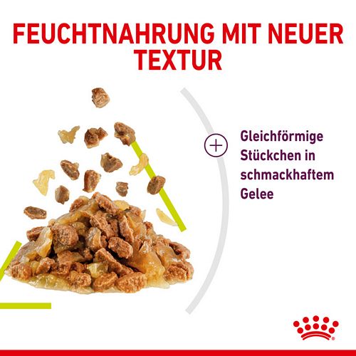 Royal Canin SENSORY Smell Nassfutter in Gelee für wählerische Katzen 12 x 85 g