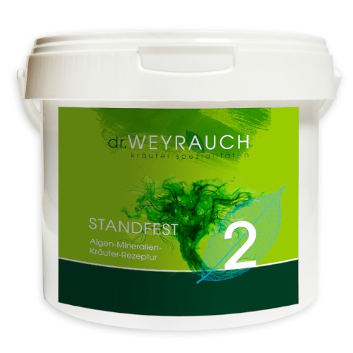 Nr. 2 Standfest von Dr. Weyrauch 5 Kg