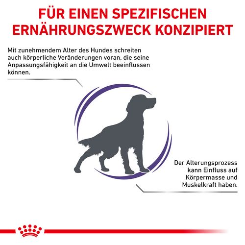 Royal Canin Expert MATURE CONSULT MEDIUM DOGS  Trockenfutter für Hunde 3,5 kg