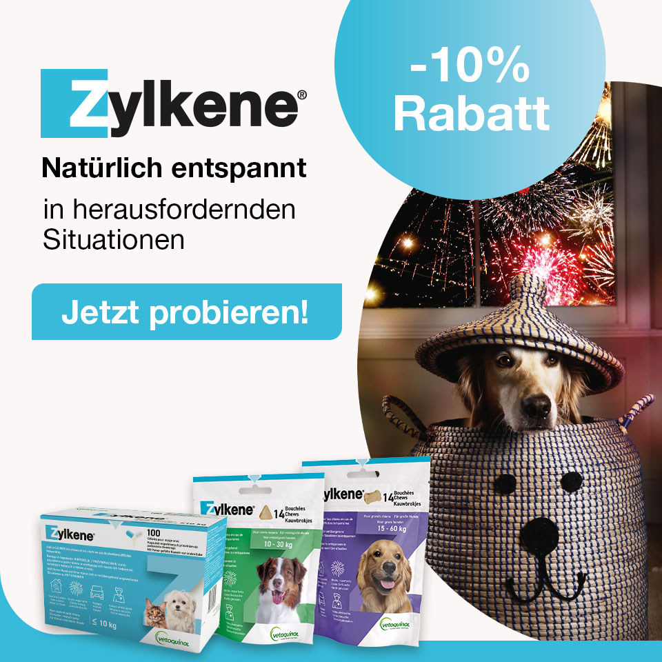 Zylkene Entspannung für Hunde Mobile Zylkene Entspannung für Hunde Mobile