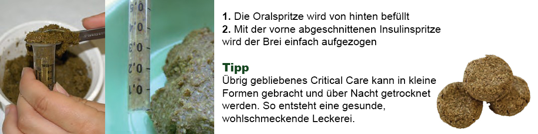 Dechra Critical Care Oralspritze Dechra Critical Care Oralspritze