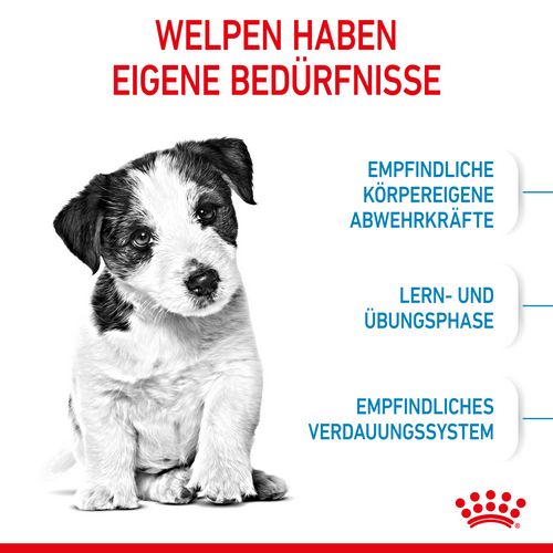 Royal Canin MINI Puppy Trockenfutter für Welpen kleiner Hunderassen Bedürfnisse