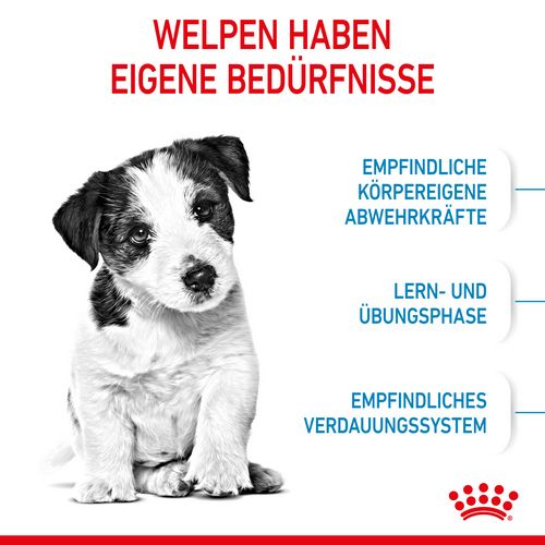 Royal Canin MINI Puppy Trockenfutter für Welpen kleiner Hunderassen 8 kg