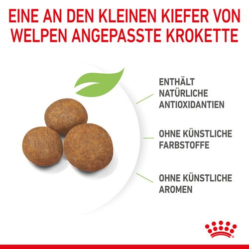 Royal Canin MAXI Puppy Trockenfutter für Welpen großer Rassen 10 kg