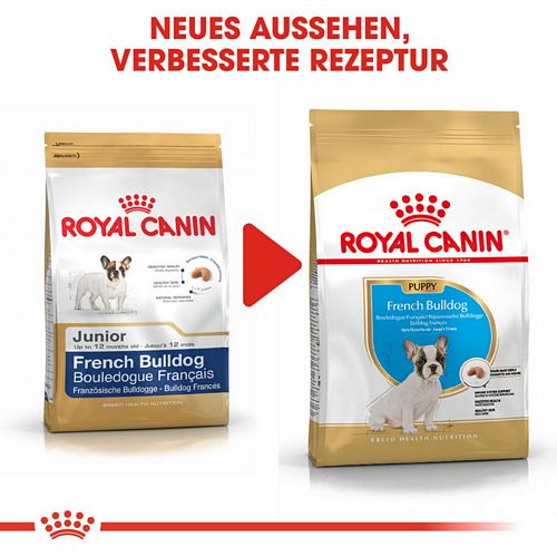 Royal Canin French Bulldog Puppy Welpenfutter trocken