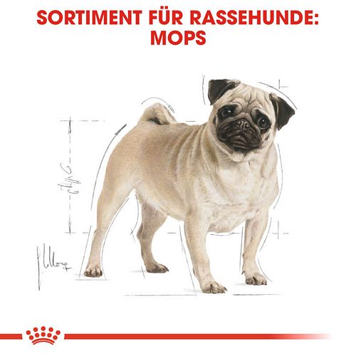 Royal Canin Pug