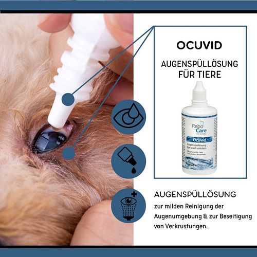 Ocuvid Lösung Auge im Detail