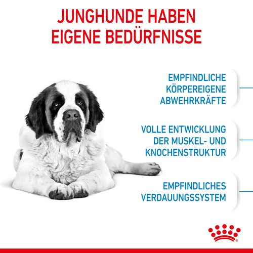 Royal Canin GIANT Junior Welpenfutter trocken Anforderungen
