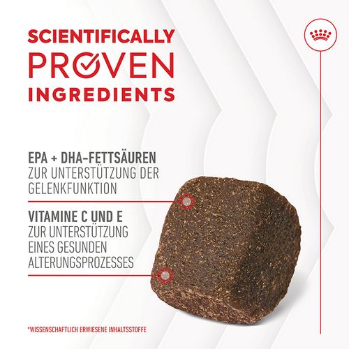 Royal Canin - JOINT & AGEING CHEWS ADULT SUPPLEMENTS Inhalte