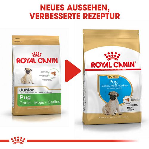 Royal Canin Pug Puppy Welpenfutter trocken für Mops