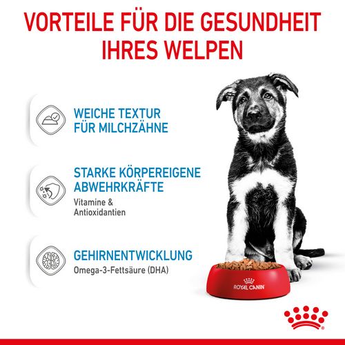 Royal Canin MAXI PUPPY Welpenfutter Nass für große Hunde 10 x 140 g