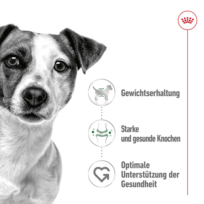 Royal Canin MINI ADULT - Nassfutter für ausgewachsene kleine Hunde - 12 x 195 g