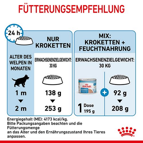Royal Canin MAXI Starter für tragende Hündin und Welpen großer Rassen Fütterung