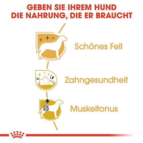 Royal Canin Poodle Adult Trockenfutter Vorteile