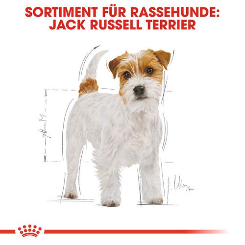 Royal Canin Jack Russell Terrier Adult Hundefutter trocken