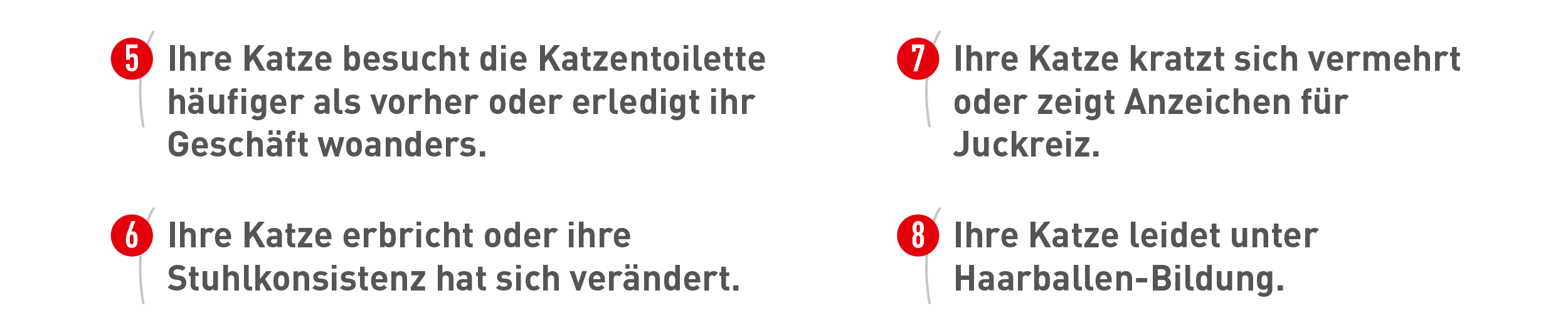 Verhalten Ihrer Katze