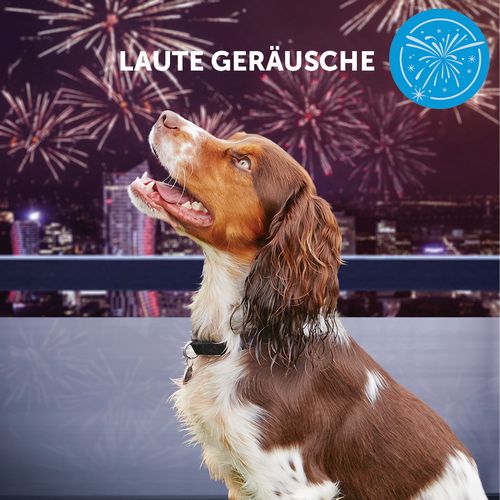 ADAPTIL® Calm Halsband - Anti Stress Erziehungshalsband für kleine Hunde